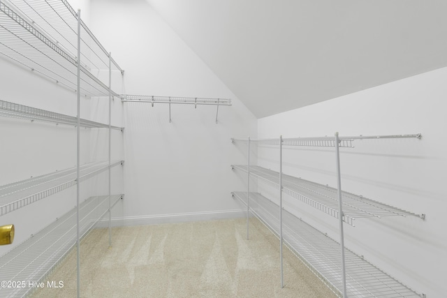 walk in closet with carpet flooring and lofted ceiling