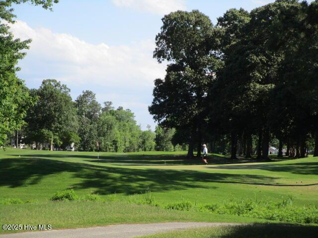 127 Meherrin River Dr, Hertford, NC 27944 - view of community featuring a yard