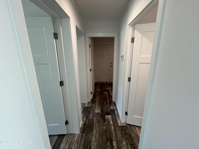 6243 NC Highway 58, Stantonsburg, NC 27883 - hall featuring wood finished floors