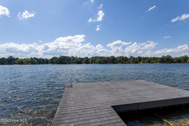 154 Overlook Dr, West End, NC 27376 - dock area with a water view