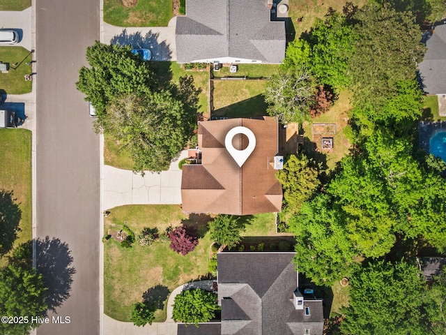 bird's eye view