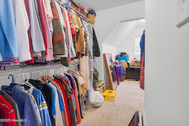 spacious closet featuring carpet flooring