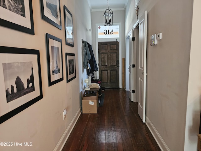 corridor featuring wood-type flooring, ornamental molding, and baseboards