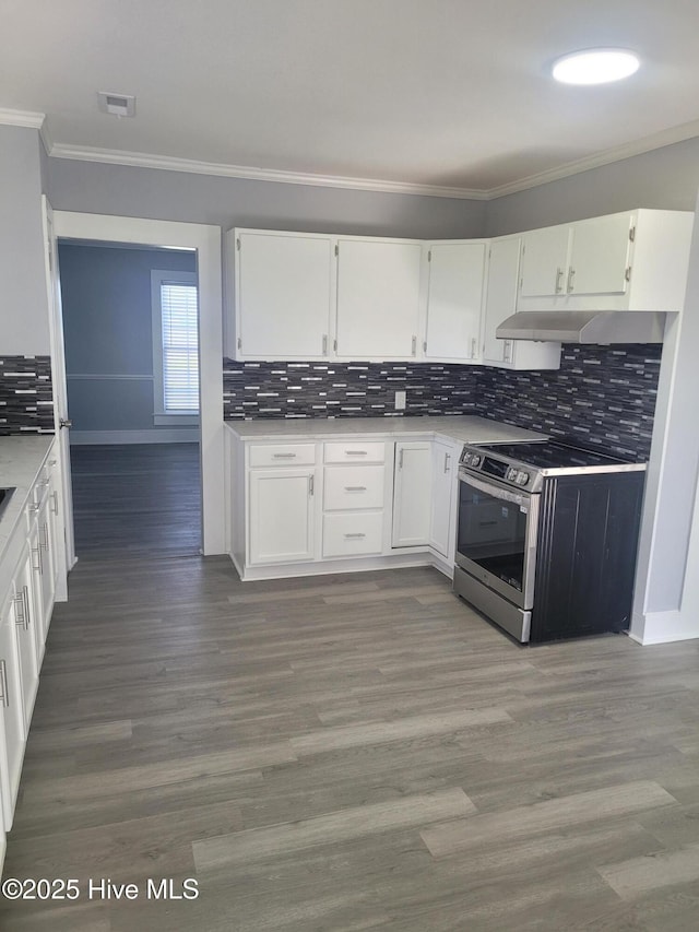 4384 Race Track Rd, Grifton, NC 28530 - kitchen featuring stainless steel electric range oven, ornamental molding, white cabinets, under cabinet range hood, and decorative backsplash