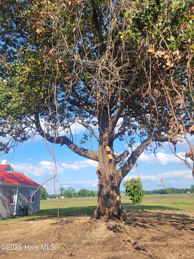 4384 Race Track Rd, Grifton, NC 28530 - view of yard