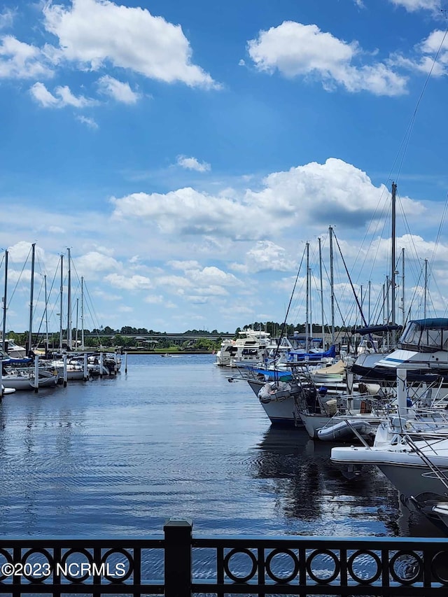 913 Bee Tree Ct, New Bern, NC 28560 - water view with a dock