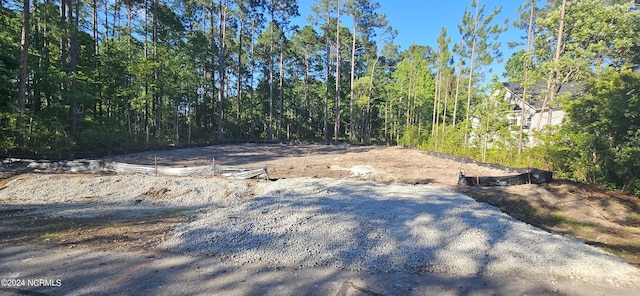 913 Bee Tree Ct, New Bern, NC 28560 - view of woods