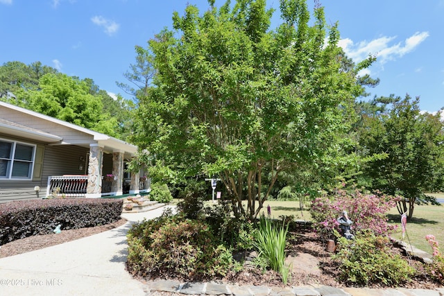 view of yard featuring a porch