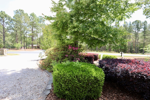 view of yard with view of wooded area
