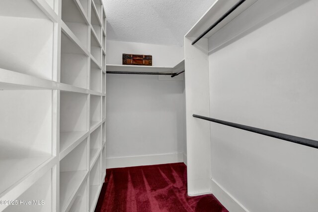 211 Ann St, Wilmington, NC 28401 - walk in closet featuring carpet floors