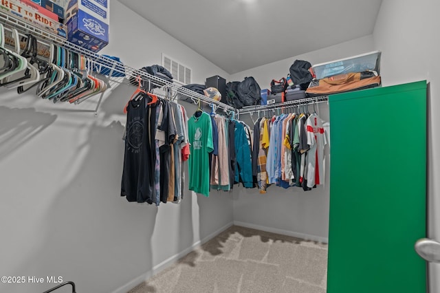 4569 Sandstone Dr, Greenville, NC 27858 - walk in closet with carpet floors