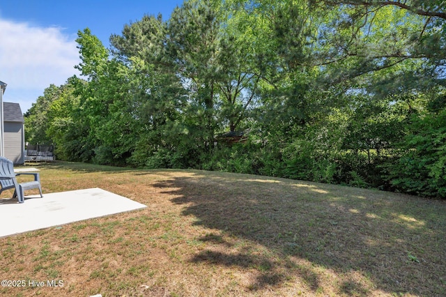 4569 Sandstone Dr, Greenville, NC 27858 - view of green lawn featuring a patio area and a trampoline