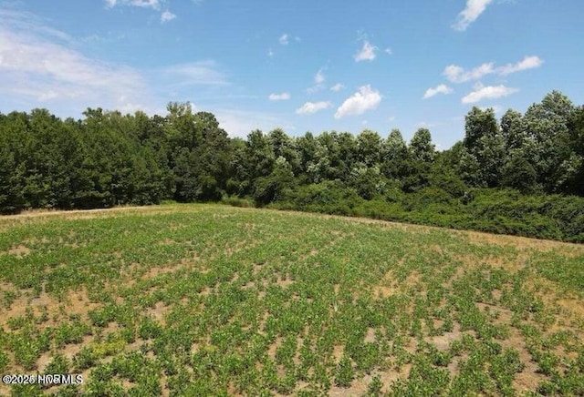 5758 James B White Hwy N, Whiteville, NC 28472
