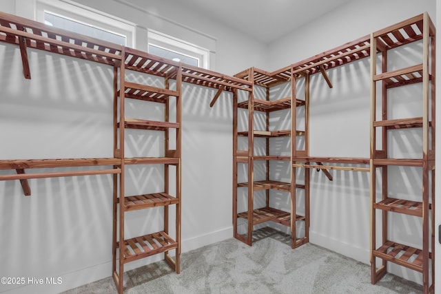 140 E Ag Dr, New Bern, NC 28562 - spacious closet with carpet
