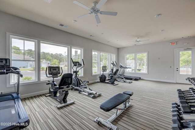 6909 English Holly Ct SW, Ocean Isle Beach, NC 28469 - workout area with baseboards, ceiling fan, healthy amount of natural light, and carpet flooring