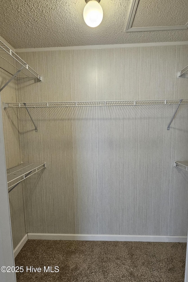 1970 Old Raleigh Rd, Clinton, NC 28328 - walk in closet with carpet flooring
