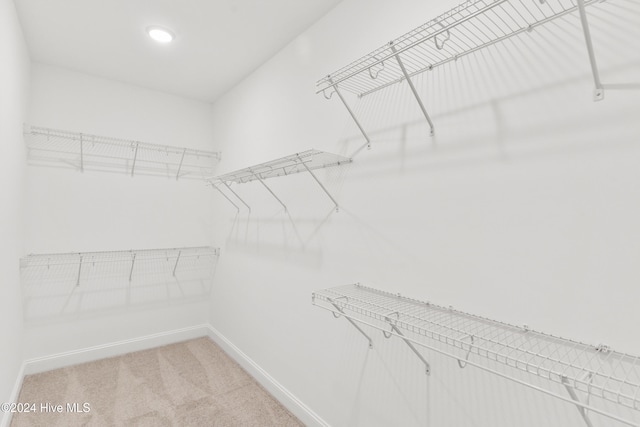 spacious closet featuring light colored carpet