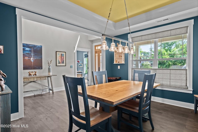 3528 Cordgrass Ln, Wilmington, NC 28409 - dining room with baseboards, wood finished floors, and a raised ceiling