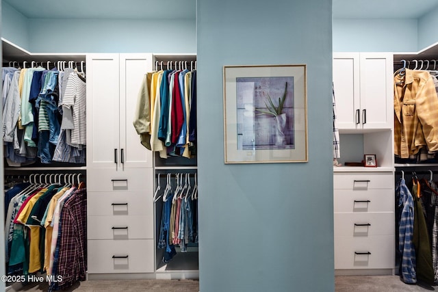 3528 Cordgrass Ln, Wilmington, NC 28409 - walk in closet with carpet floors