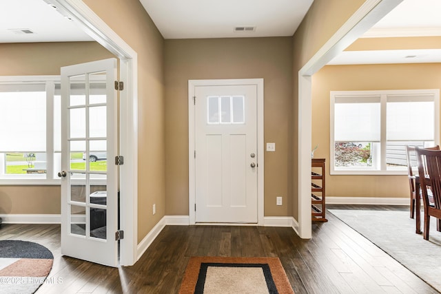 entrance foyer with dark wood-style flooring, plenty of natural light, and baseboards