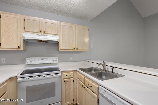 5126 Lamppost Cir, Wilmington, NC 28403 - kitchen with white appliances, under cabinet range hood, light brown cabinetry, a sink, and light countertops