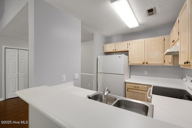 5126 Lamppost Cir, Wilmington, NC 28403 - kitchen with freestanding refrigerator, range with electric cooktop, a textured ceiling, under cabinet range hood, and light brown cabinets