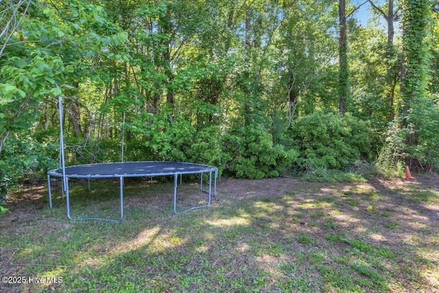 235 Zachary Ln, Hubert, NC 28539 - view of yard featuring a trampoline