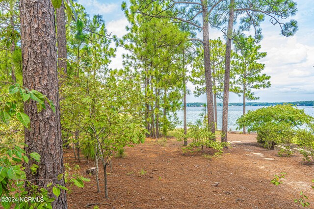 101 Andrews Dr, West End, NC 27376