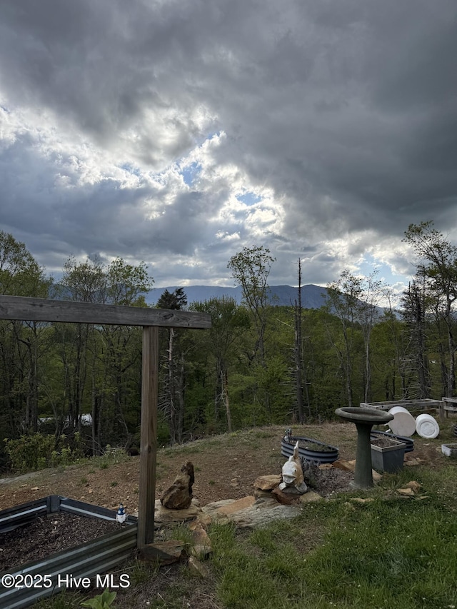 200 Wintergreen Patch Ln, Burnsville, NC 28714 - view of yard featuring a mountain view and a wooded view