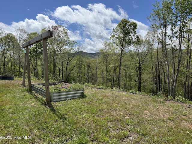 200 Wintergreen Patch Ln, Burnsville, NC 28714 - view of yard featuring a forest view