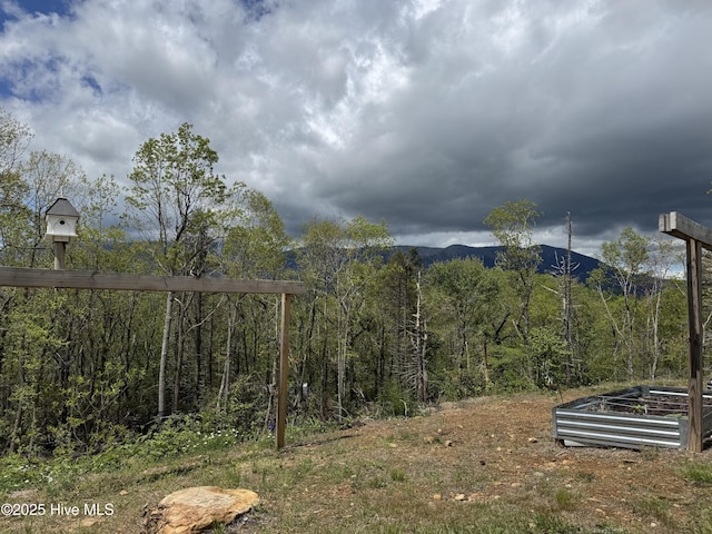 200 Wintergreen Patch Ln, Burnsville, NC 28714 - view of yard
