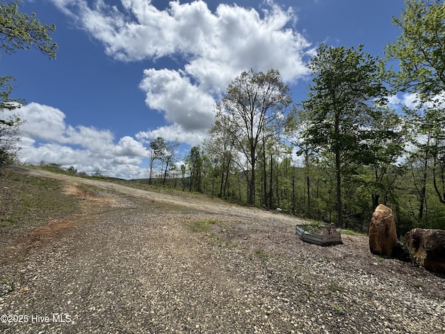 200 Wintergreen Patch Ln, Burnsville, NC 28714 - view of dirt / gravel road