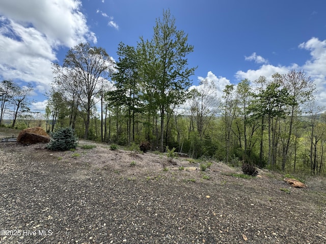 200 Wintergreen Patch Ln, Burnsville, NC 28714 - view of nature