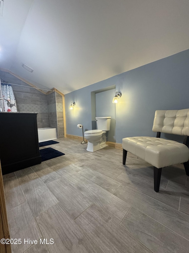 200 Wintergreen Patch Ln, Burnsville, NC 28714 - bathroom with vaulted ceiling, toilet, baseboards, and a shower