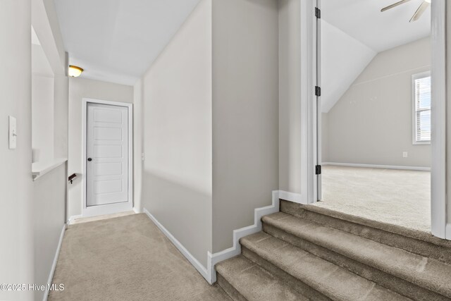 203 Holmes Point Ct, Jacksonville, NC 28546 - stairs featuring carpet flooring, baseboards, and lofted ceiling