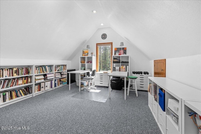 476 Paige Riddick Rd, Gates, NC 27937 - office featuring vaulted ceiling, carpet floors, and a textured ceiling