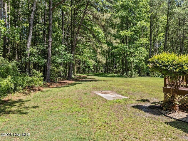 476 Paige Riddick Rd, Gates, NC 27937 - view of grassy yard with a view of trees
