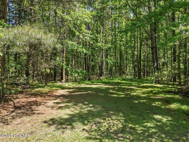 476 Paige Riddick Rd, Gates, NC 27937 - view of grassy yard with a view of trees