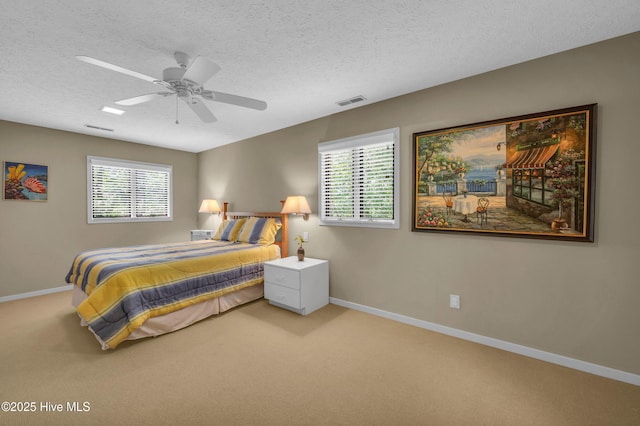 bedroom with carpet floors, multiple windows, baseboards, and a textured ceiling
