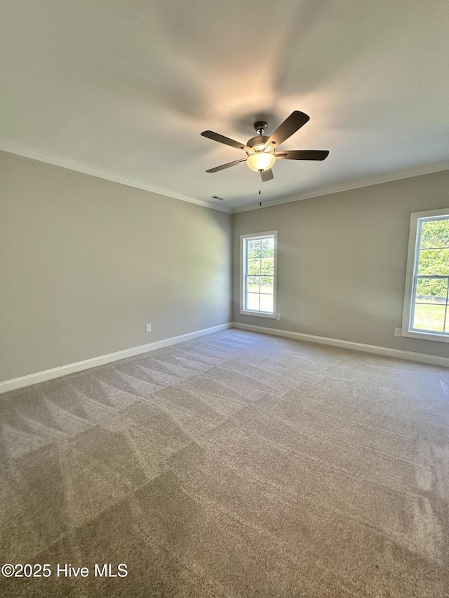 carpeted spare room featuring ornamental molding, baseboards, healthy amount of natural light, and a ceiling fan