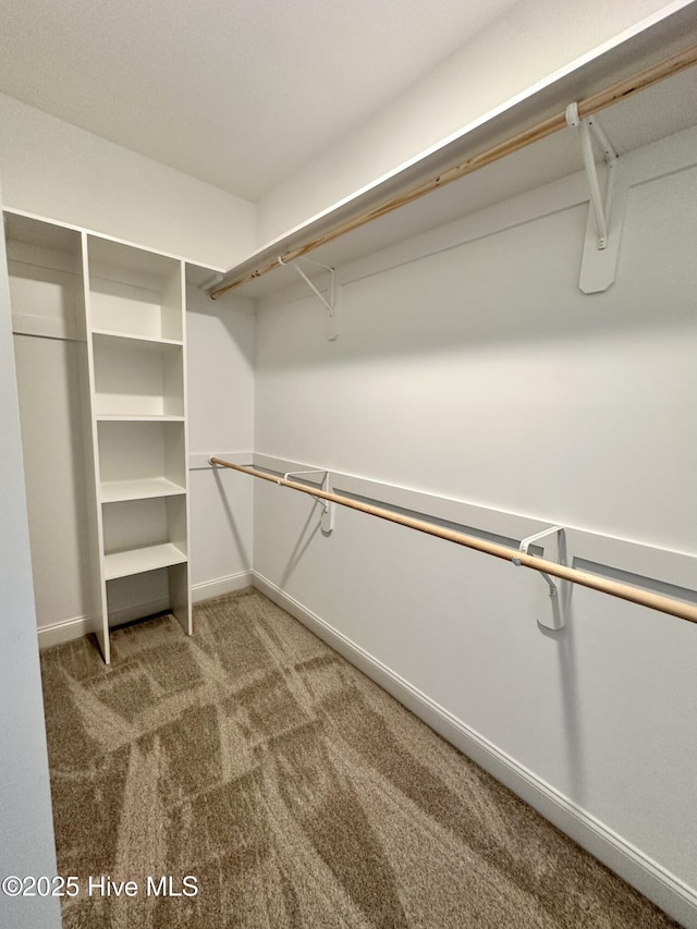 spacious closet with carpet