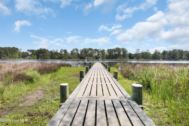 555 Dawson Creek Dr, Arapahoe, NC 28510 - view of home's community with a dock and a water view