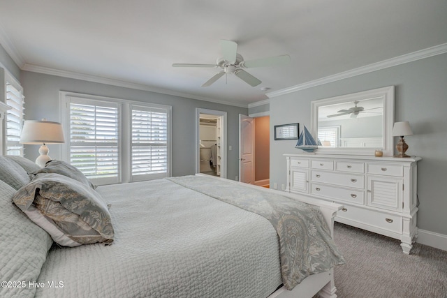 carpeted bedroom with ornamental molding, a ceiling fan, baseboards, and a spacious closet