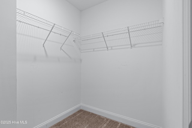 walk in closet featuring dark colored carpet