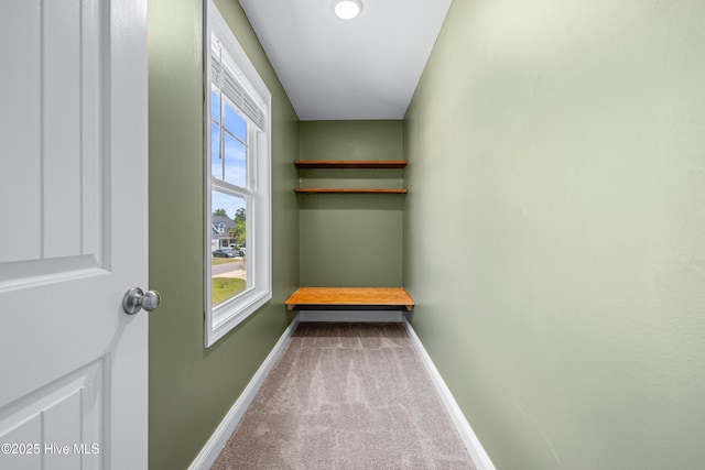 spacious closet with carpet floors