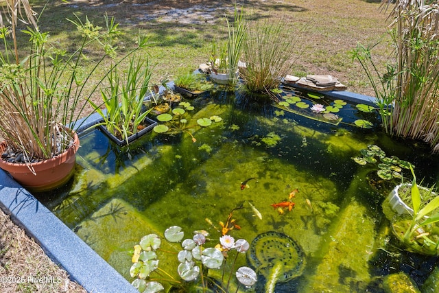 view of yard featuring a small pond
