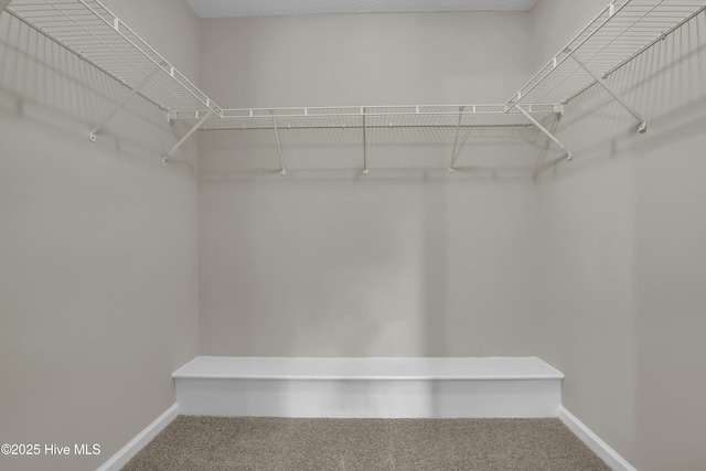 117 Clint Mills Rd, Maysville, NC 28555 - walk in closet featuring carpet