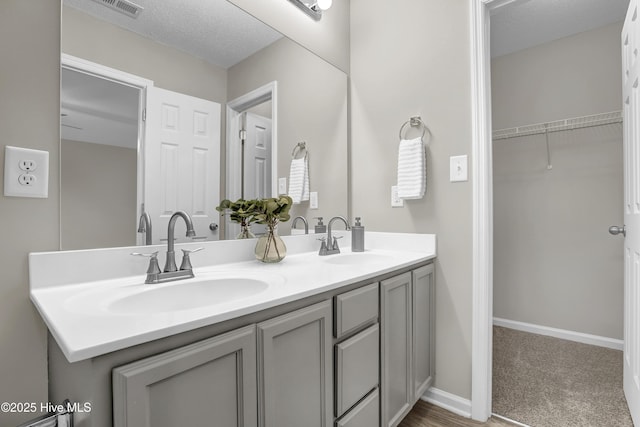 117 Clint Mills Rd, Maysville, NC 28555 - full bath featuring double vanity, baseboards, and a spacious closet