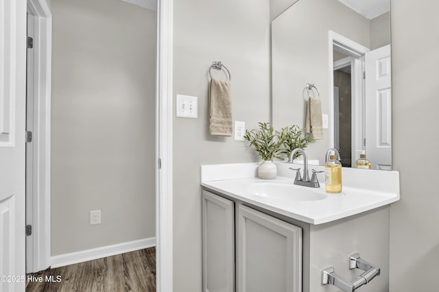 117 Clint Mills Rd, Maysville, NC 28555 - bathroom with wood finished floors, vanity, and baseboards