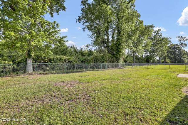 117 Clint Mills Rd, Maysville, NC 28555 - view of yard